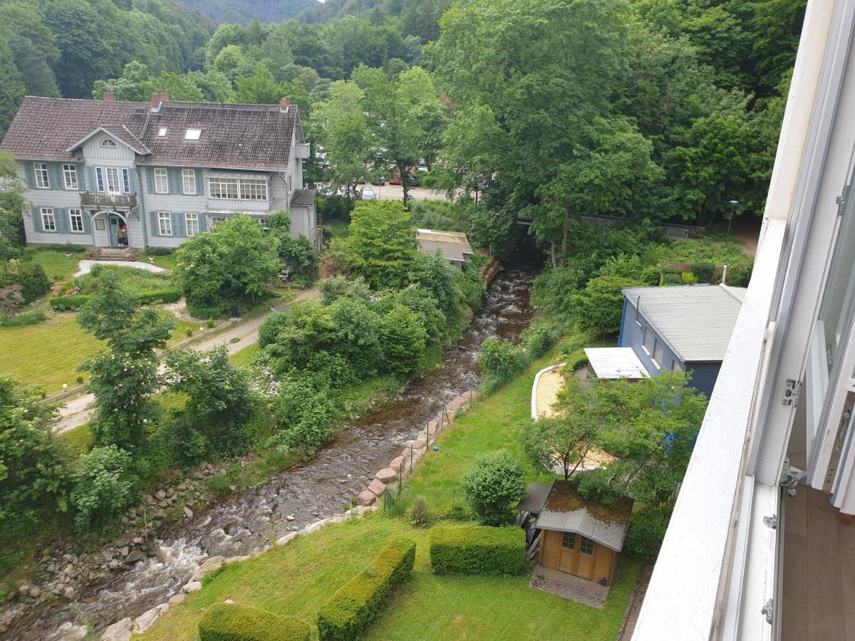 Apartz - Bad Harzburg - Apartment Mit Sauna In Idealer Lage Mit Bergblick Exteriér fotografie
