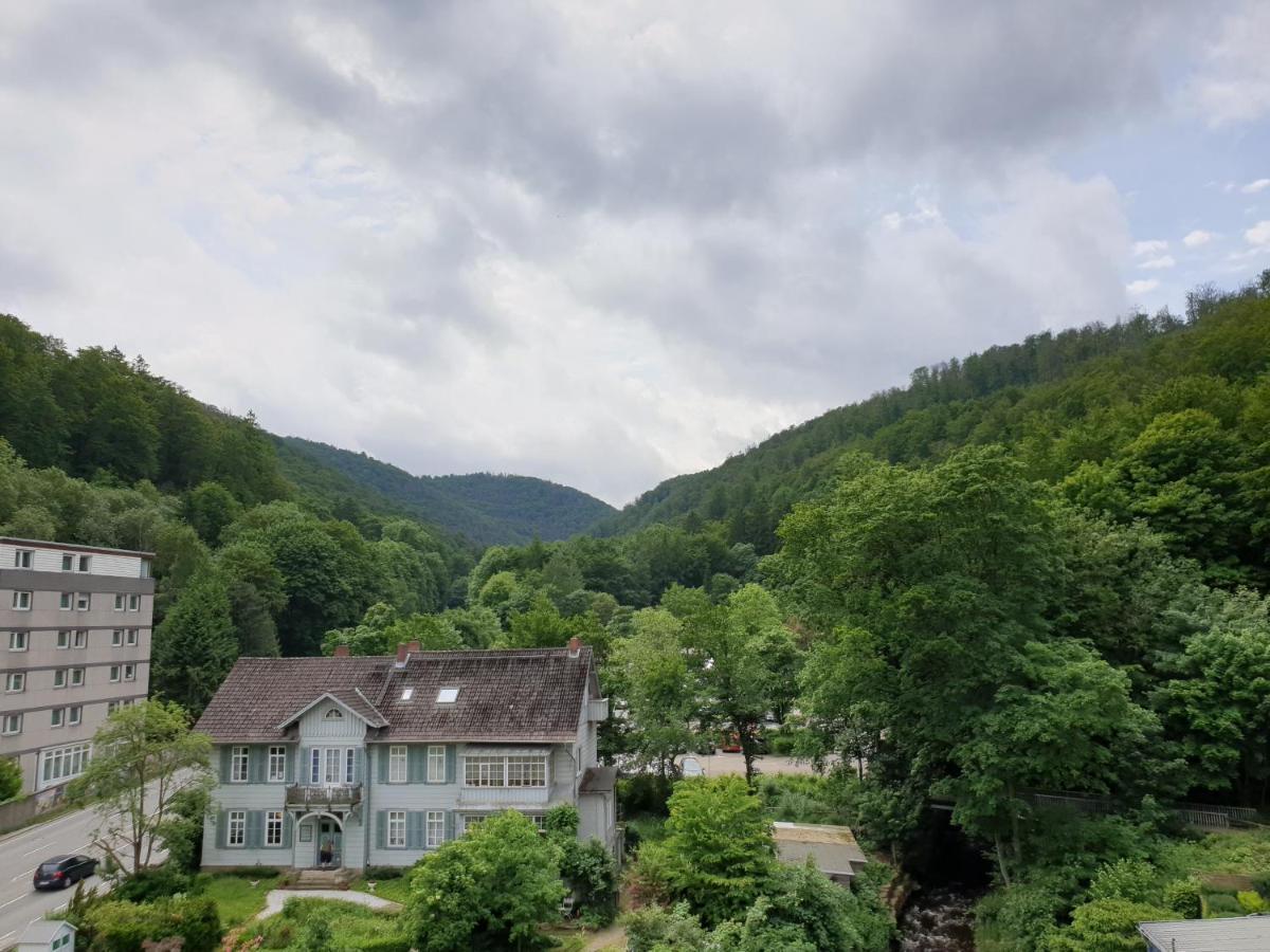 Apartz - Bad Harzburg - Apartment Mit Sauna In Idealer Lage Mit Bergblick Exteriér fotografie